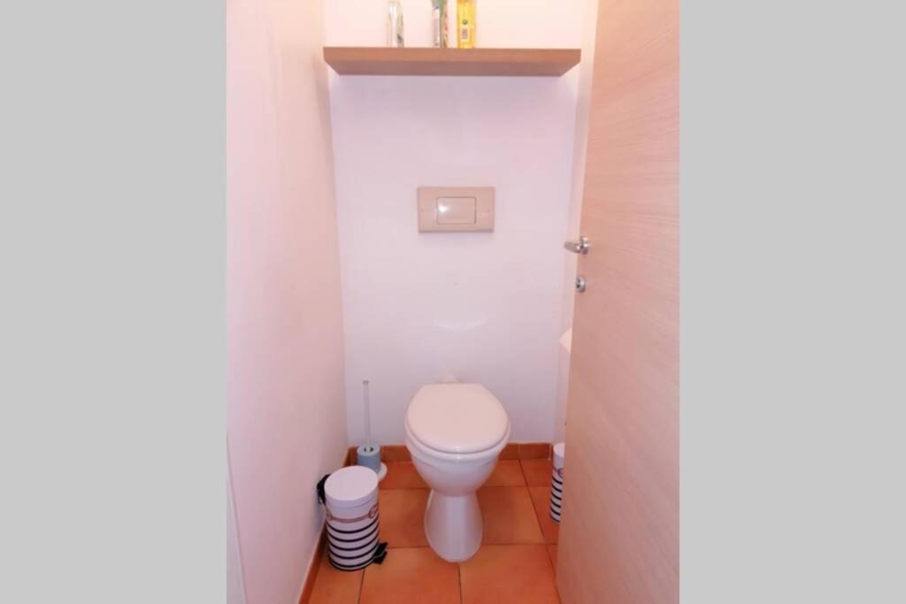 Appartement Les Pieds Dans L'Eau 300 M Plage - 2 Piscines Linguizzetta エクステリア 写真